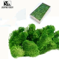 artificial plant green natural moss lasting preserved home garden stage background wedding decoration supplies moss flowers