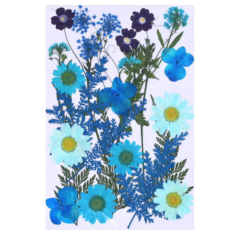 

Small Real Dried Flower Natural Dry Plants For Candle Epoxy Resin Pendant Necklace Jewelry Making Craft DIY Accessori
