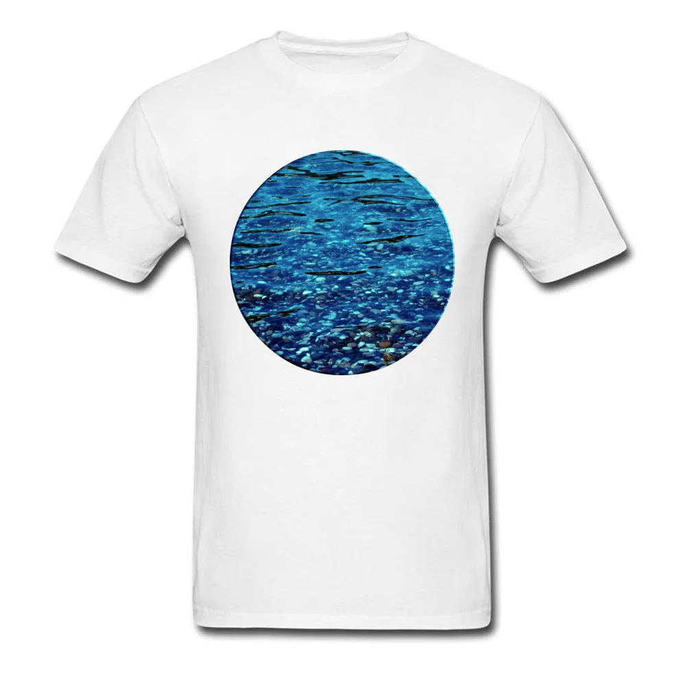 

BLUE STONES In Water 3D Print Pattern Men's T-Shirt