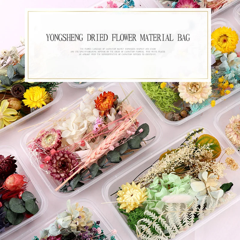 Прессованный цветок микс сушеных Цветы DIY Искусство Цветочный Декор Коллекция