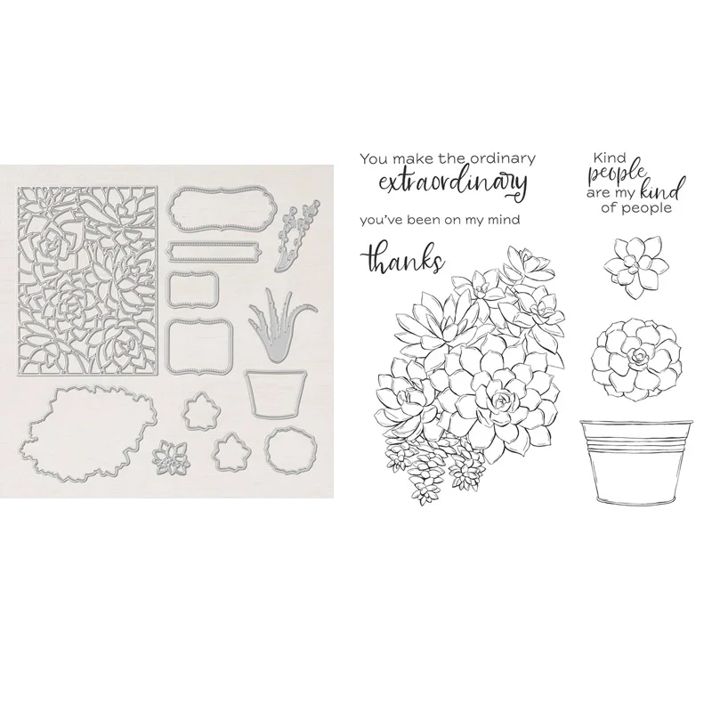 Просто суккуленты набор для стемпинга и координации умирает цветочный горшок