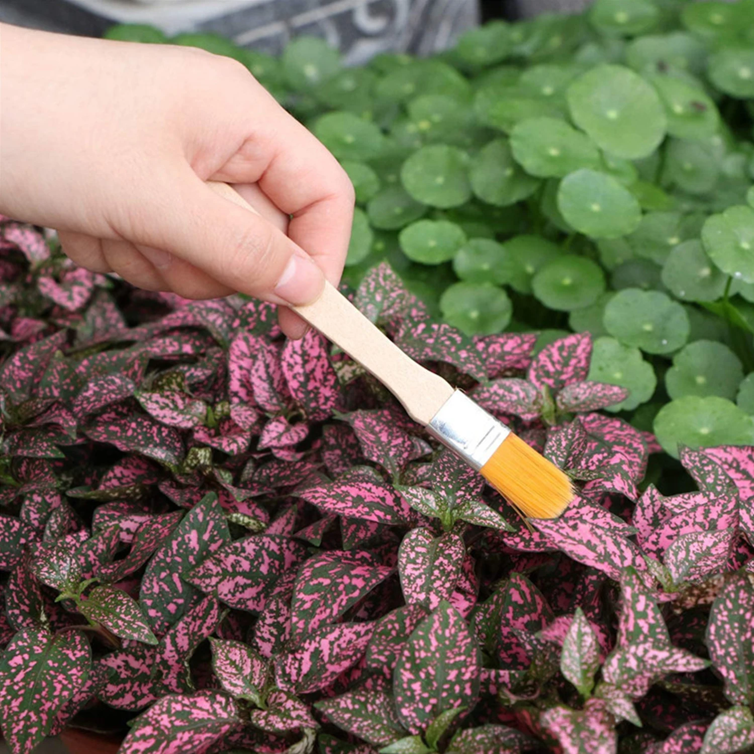 10 шт. набор инструментов для садовой посадки семена бонсай трансплантации