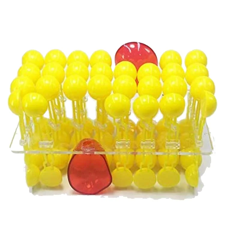 

Cell Membrane Structure Anatomy Model Cell Flow Mosaic Component Biological Teaching Demonstration Equipment Science Models