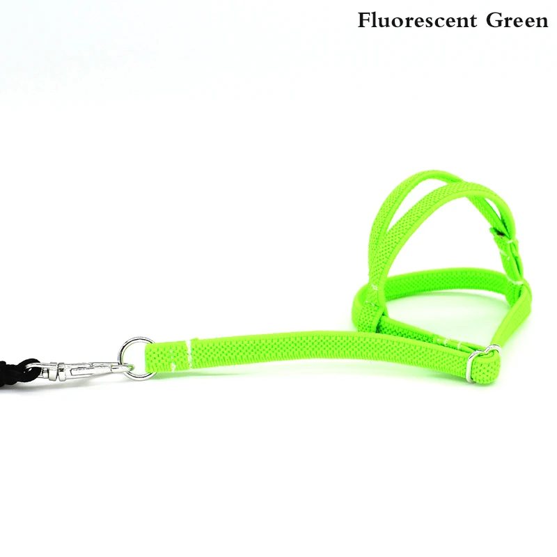 

1Pcs Anti-bite Flying Training Rope Parrot Bird Pet Leash Kits Ultralight Harness Leash Soft Portable Pet Playthings
