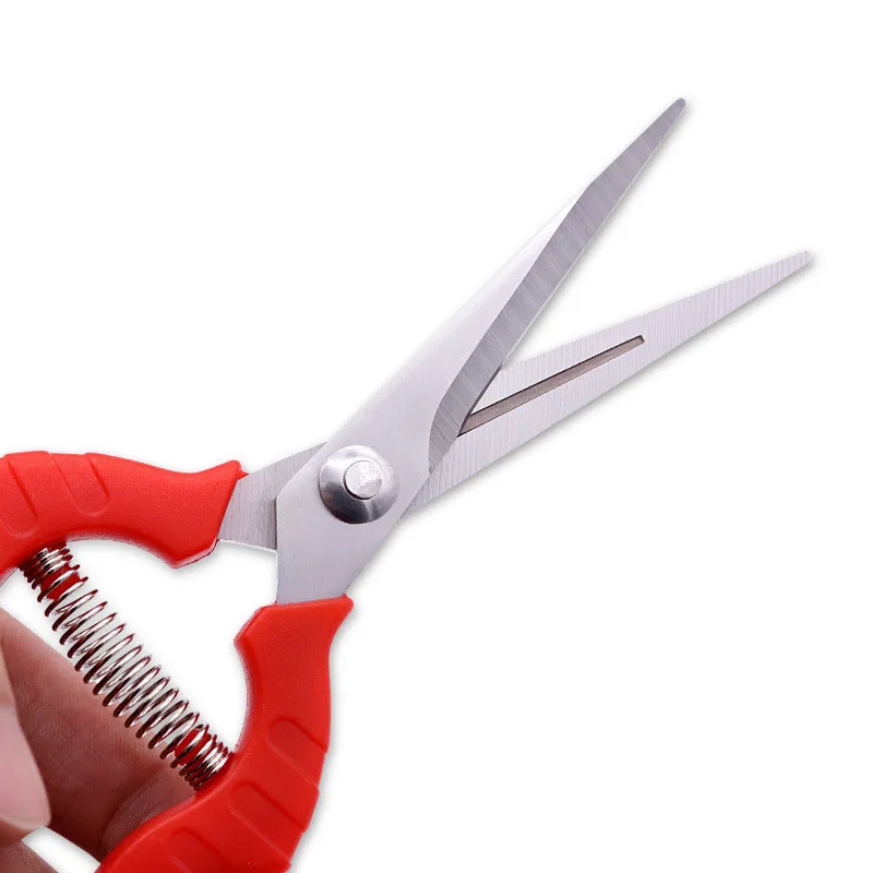 Кустарники инструменты растения садоводство горшечные обрезка листьев