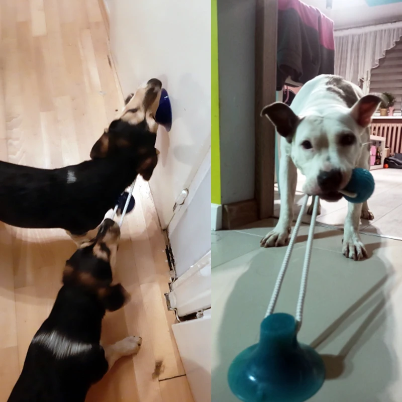 Dog Toys for Large Dogs Interactive Suction Cup TPR Balls Puppy Accessories Tooth Cleaning Chewing Supplies | Дом и сад
