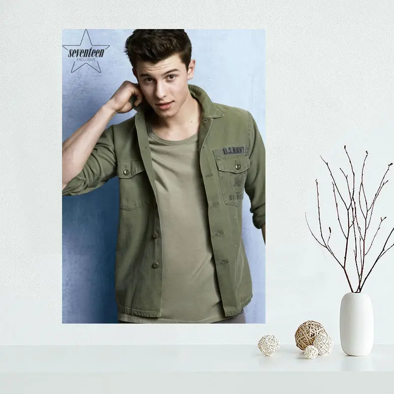 Изготовленный На Заказ Shawn Mendes художественный плакат на холсте ткань постер