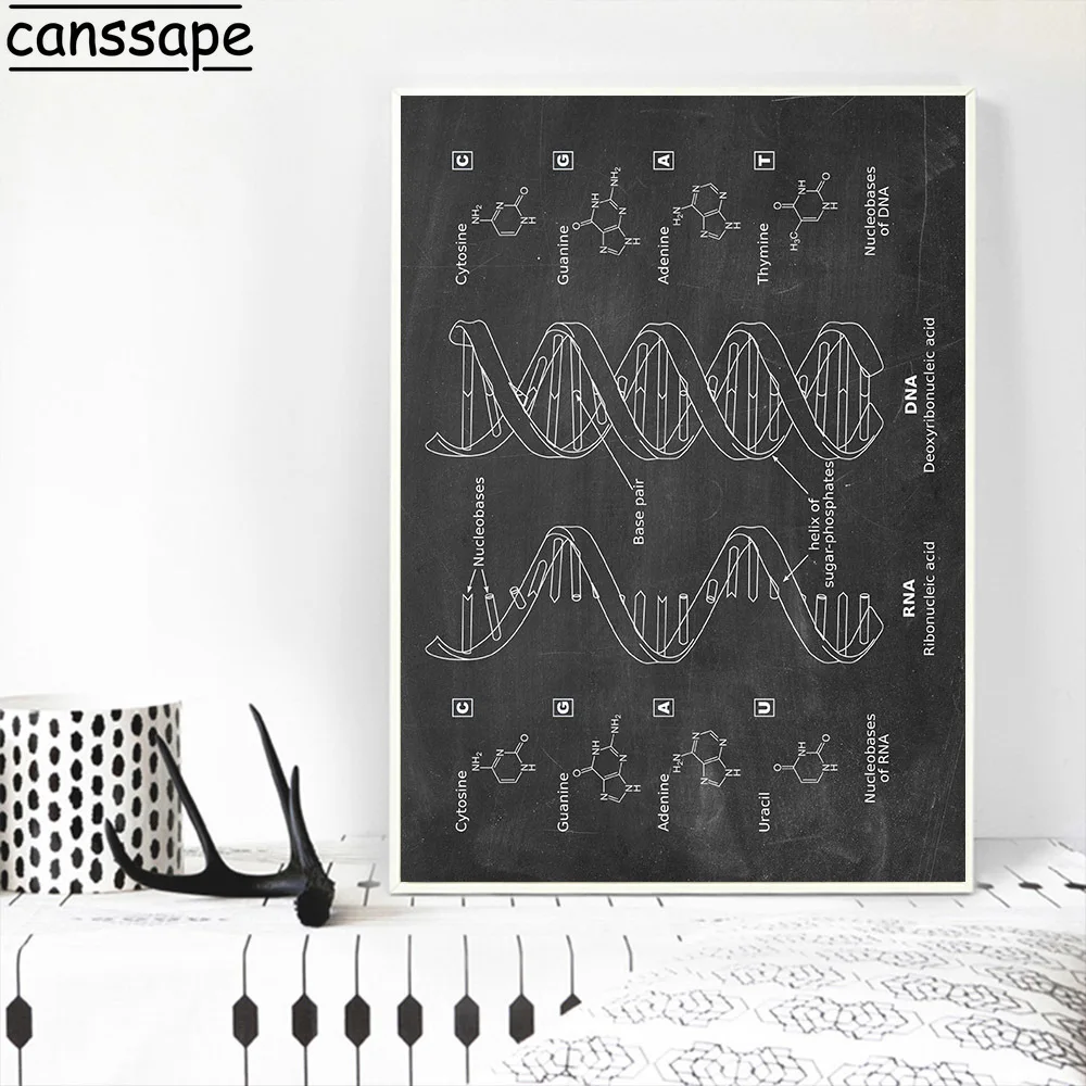 Плакат ДНК биология искусство принт генетика холст плакаты винтажные чертежи