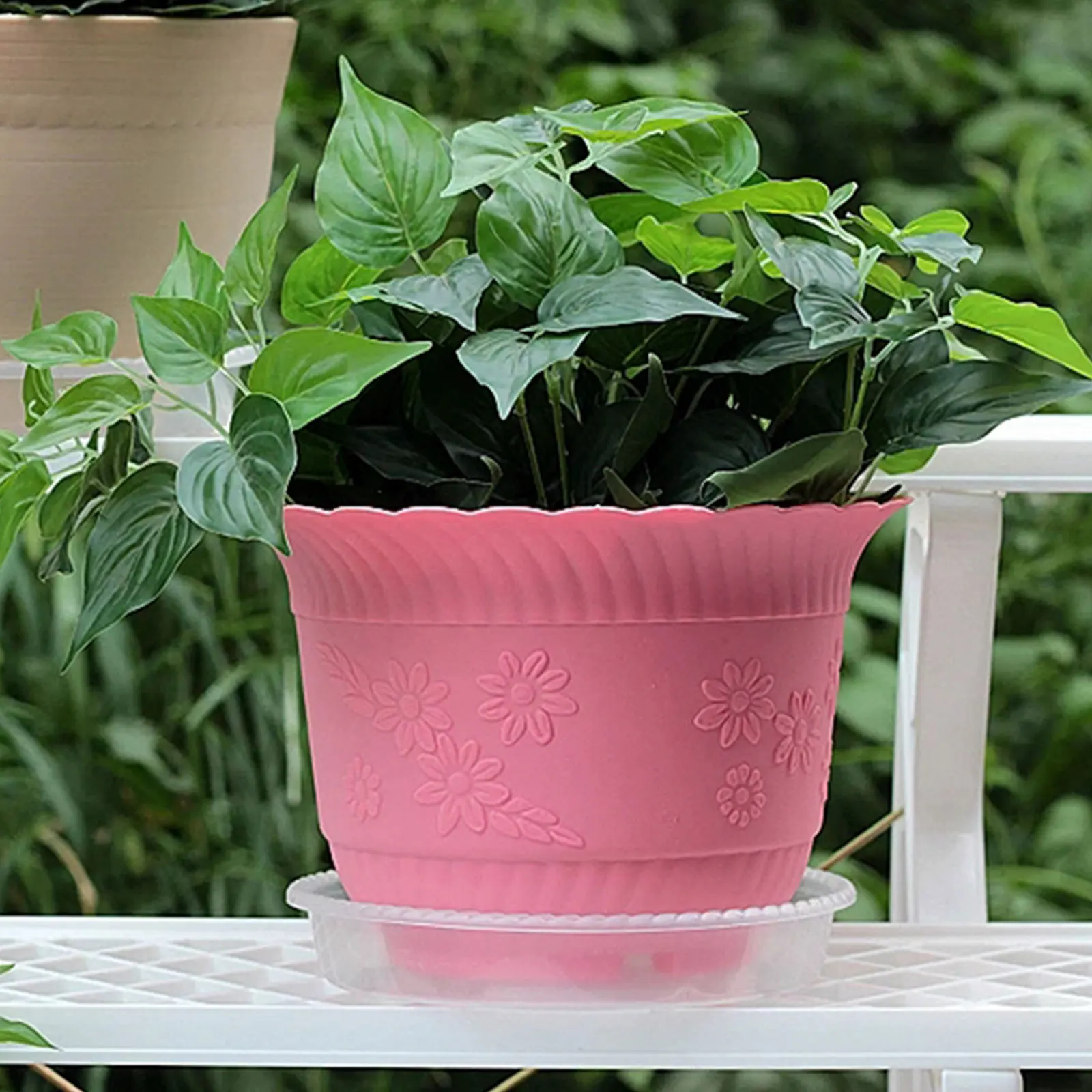 Behogar10pcs Пластик горшка блюдце прозрачные круглые поддоны для растений Holding