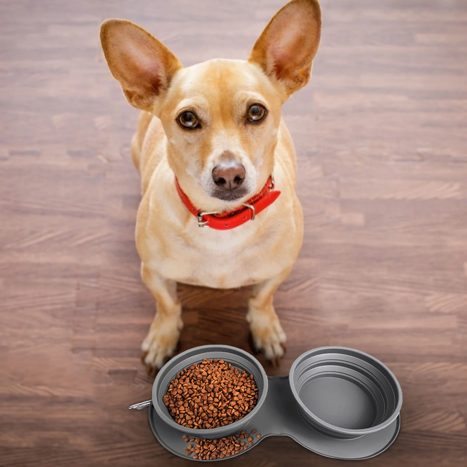 

Outdoor Silicone Foldable Pet Cat Dog 2 Bowls Slow Eating Anti-choke Food Water Bowl Puppy Doggy Container Travel Feeding Bowls