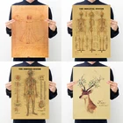 Классический эскиз человеческой структуры ручная роспись оленя человеческие мышцы кости рукописный Винчи ретро крафт-бумага плакат Декор