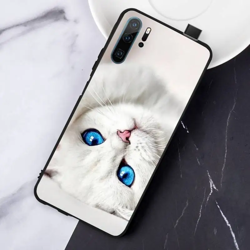 

Lovely cat cute animal Phone Case For Huawei honor Mate P 10 20 30 40 Pro 10i 9 10 20 8 x Lite