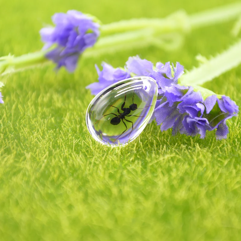 Pet Ant HD акриловый образец Муравьиное гнездо украшение фотографический