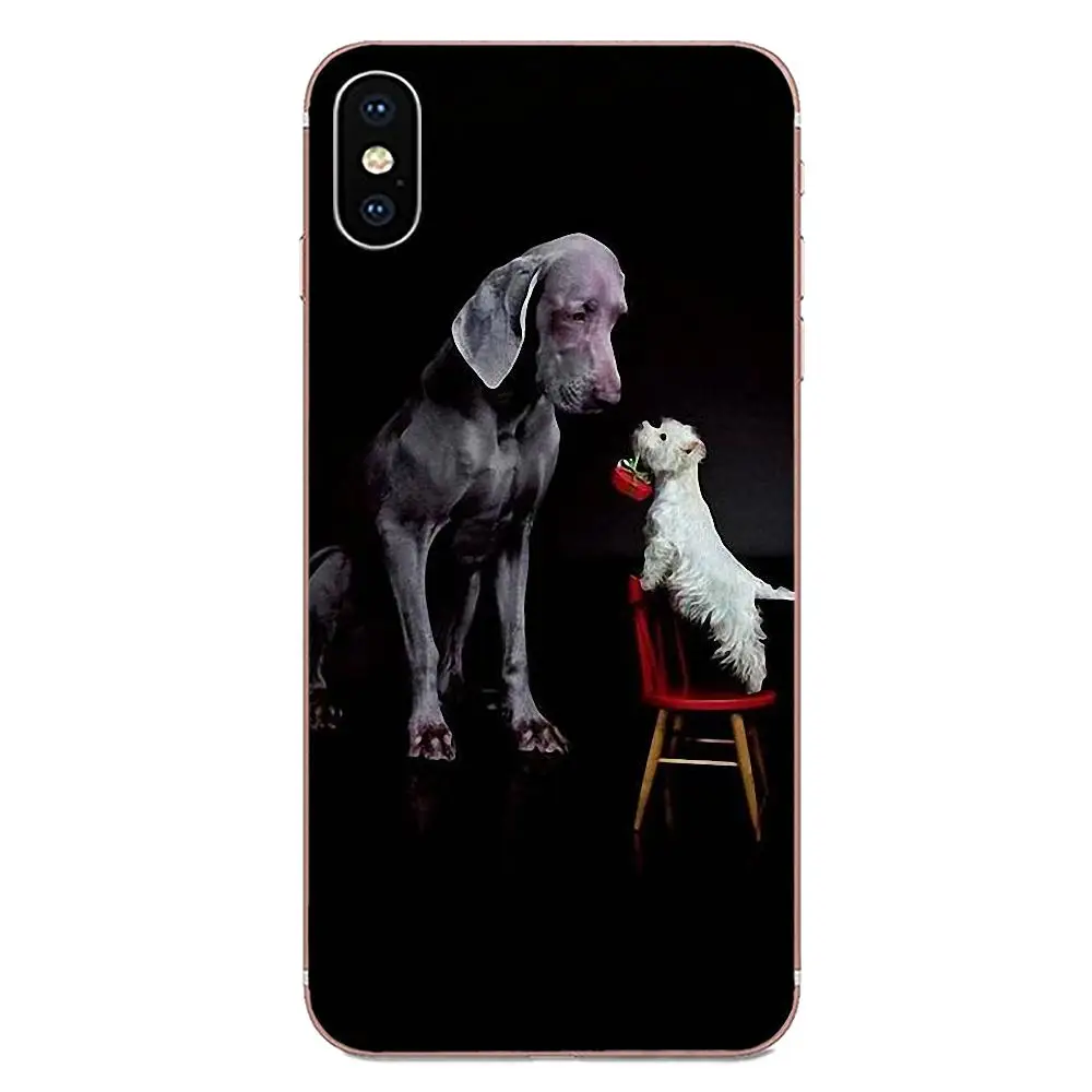 Белый высокогорный белый терьер Шотландия для Huawei NOVA 2 V20 Y3II Y5 Y5II Y6 Y6II Y7 Y9 G8 G9 GR3 GR5 GX8