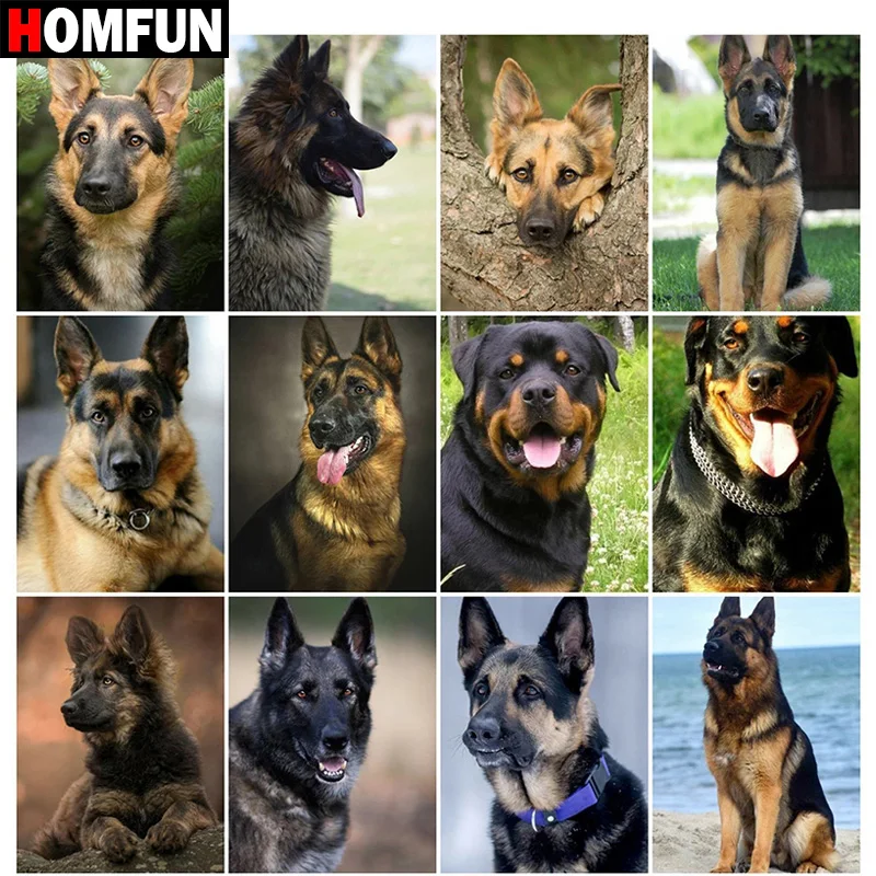 

Алмазная 5D Вышивка HOMFUN, картина «животное, собака, пейзаж», вышивка крестиком, домашний декор, подарок, полная выкладка, круглая