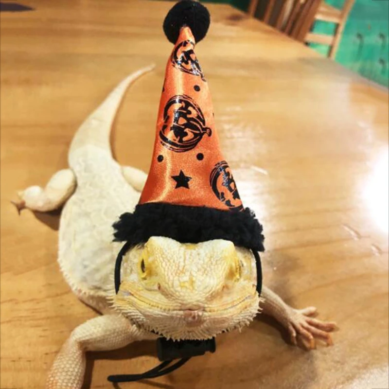 Лидер продаж поводок и шапка в виде ящерицы рептилии медвежьего дракона с крылом