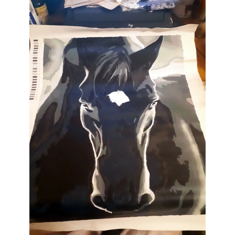 AZQSD DIY Хо Раскраска по номерам животных уникальный подарок картина маслом лошадь