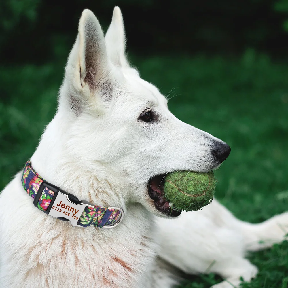 AiruiDog маленький большой персонализированный ошейник для собак Мужской и Женский