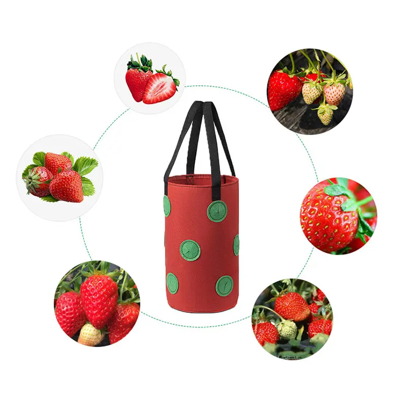 Мешок для посадки клубники с 12 отверстиями коррозионно стойкий вертикальный