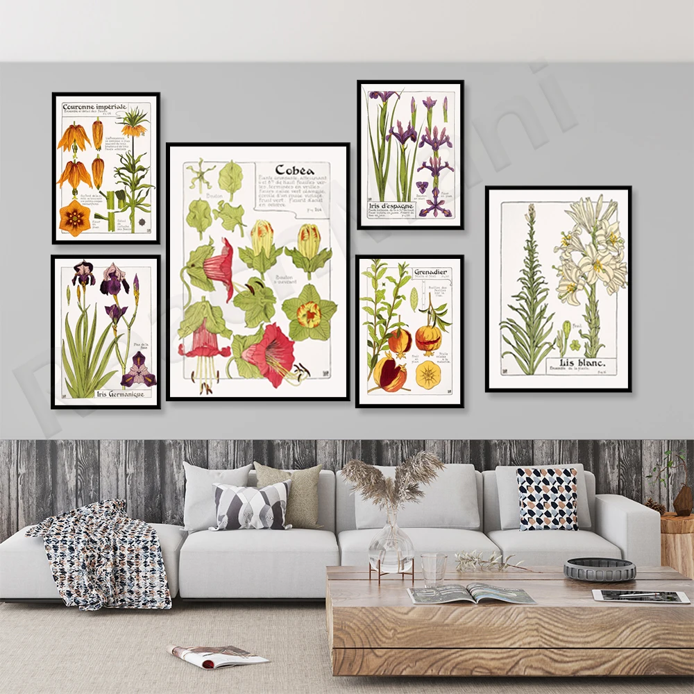 

Art Nouveau prints | Botanical posters, pomegranates, lilies, French printing | Floral illustrations, natural prints