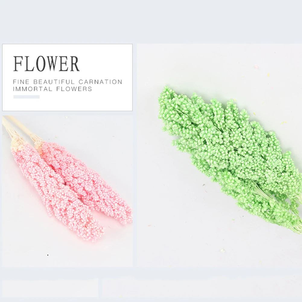 

Natural Wheat Dry Grass Bouquet Bundle Wheat Ears Flower DIY Flower Wedding Floral for Home Photography Desktop Decoration
