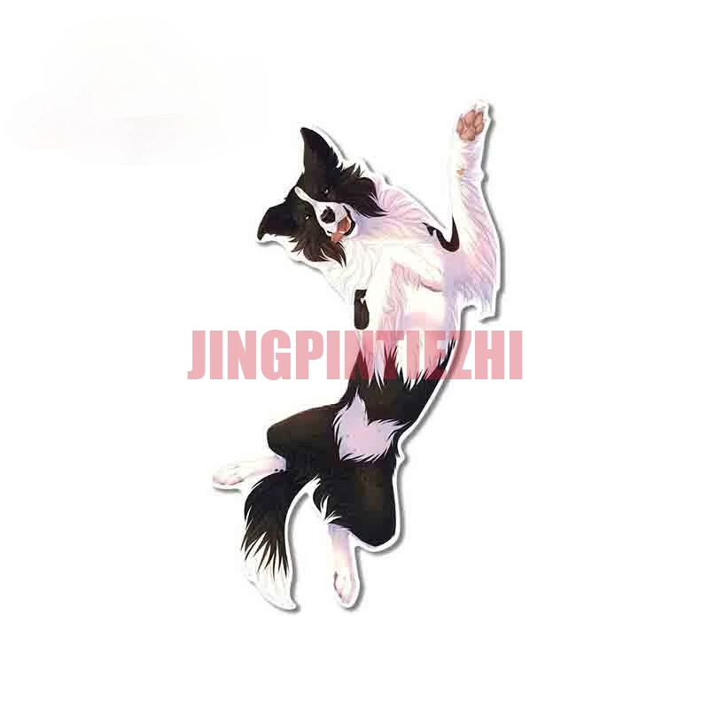 

Hot Sell High Quality for Border Collie Car Stickers Windshield Decal Waterproof Vinyl Material Personality for JDM SUV RV