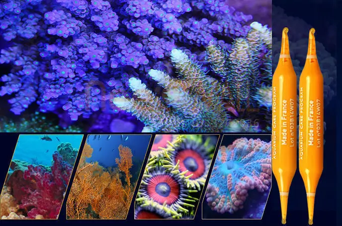 Prodibio Reef Booster питательная добавка для аквариума морской резервуар кораллы пресной воды Chihiros Marino Aquario Рыбная еда