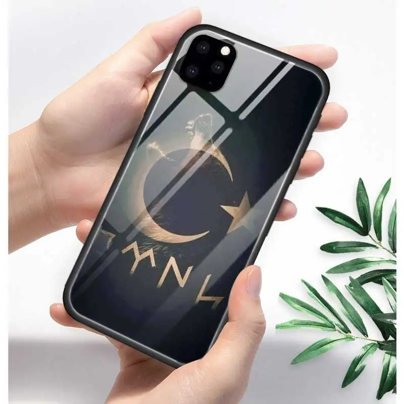 Турция турецкий чехол с флагом для Apple iphone 11 Pro XR XS Max X 7 8 6 6S Plus закаленное стекло+ черный силиконовый чехол для телефона Coque Sac