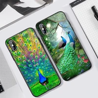 peacock feathers beautiful colored phone case tempered glass for iphone 6 7 8 plus x xs xr 11 12 13 pro max mini