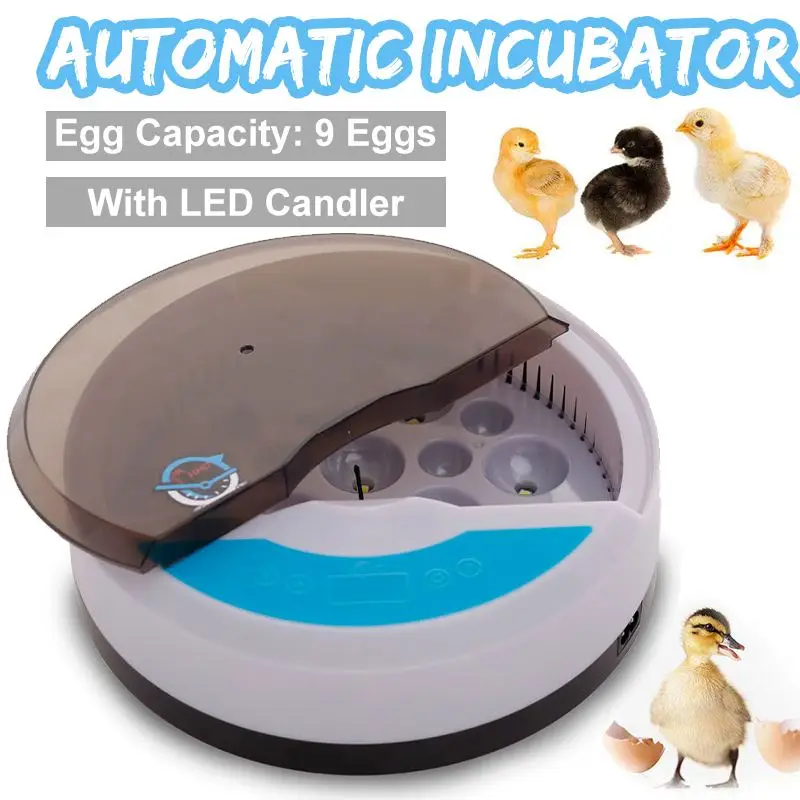 Инкубатор с 9 яицами мини-инкубатор для яиц и перепелок | Дом сад