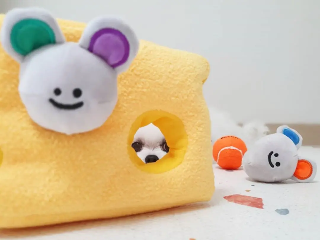 

A dog toy in the shape of a cheese mouse that can make a BB sound