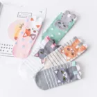 Носки женские хлопковые в стиле Харадзюку, комплект из 5 пар, с 3d-ушками симпатичного мультяшного торта, котенка, до щиколотки, лето-зима