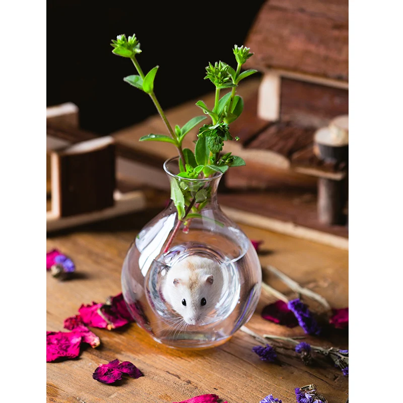 Hamster Nest Cooling Room Pot Creative Guinea Pig Glass House Transparent Small Pet Summer Gift | Дом и сад