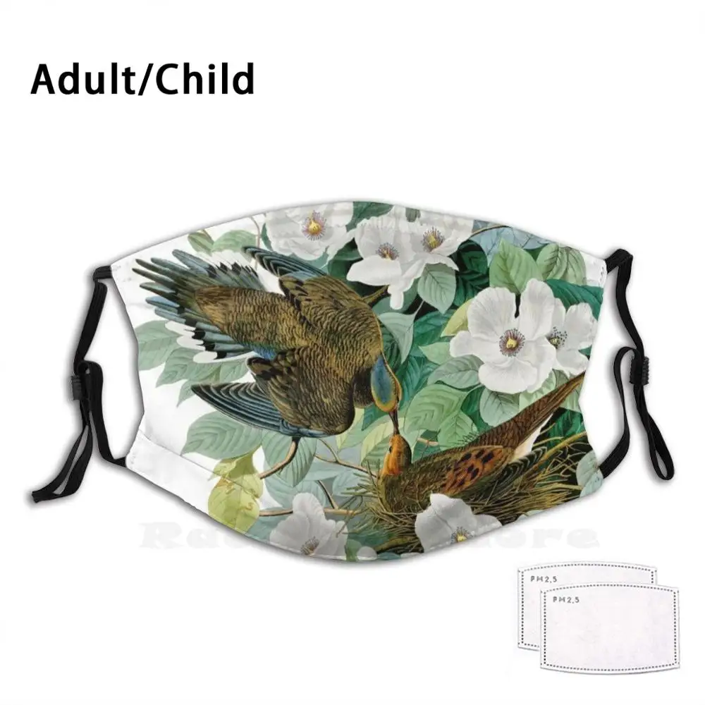

Carolina Turtle Dove, Birds Of America By John James Audubon Adult Kids Anti Dust Filter Diy Mask Dove Bird Carolina Turtle