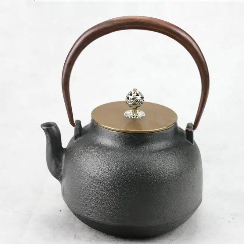 

1.2 L Japanese Iron Tea Pot with Infuser Cast Iron Teapot Tea Kettle for Boiling Water