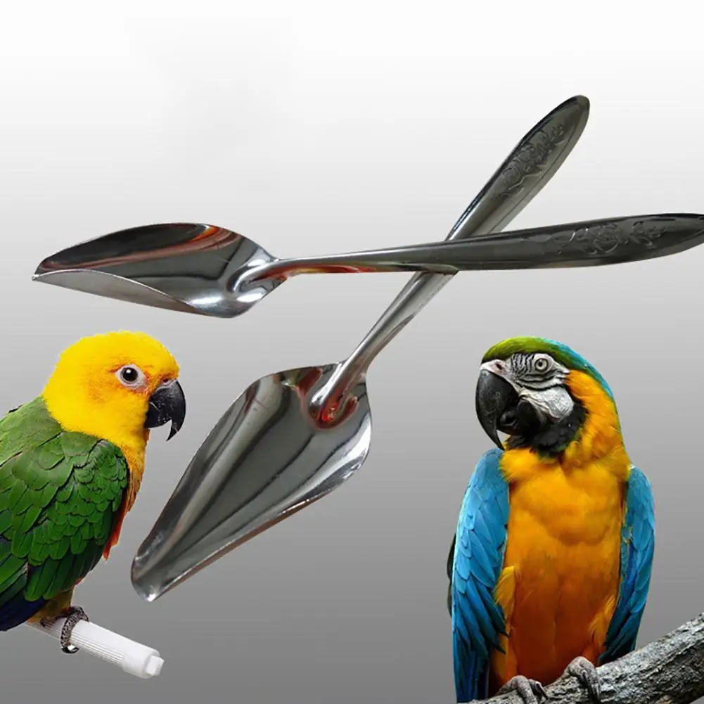 1 шт. прочный металлический аксессуар для кормления птиц и