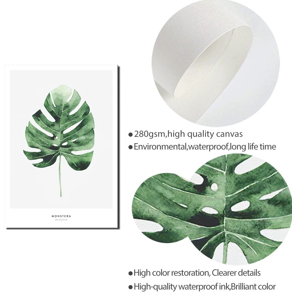 Monstera Deliciosa скандинавский постер Palmaceae холст живопись лист растение настенные