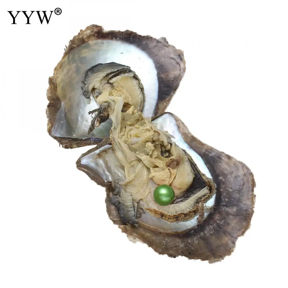 

10PCs/Lot Akoya Cultured Pearls Round Mixed Colors 7-8mm Akoya Cultured Sea Pearl Oyster Beads For Diy Women Jewelry Making