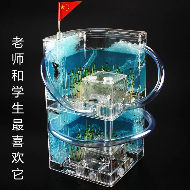 Двухслойная муравьиная мастерская гнездо ферма уличный замок жилая