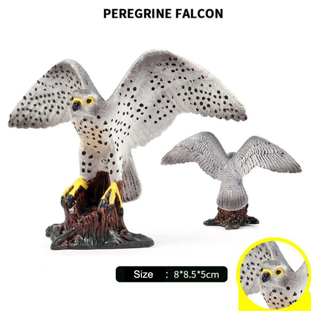 

Children's Learning Cognitive Toys Simulation Of Wild Solid Bird Model Decorative Ornaments Peregrine Falcon Figure Kids Gift