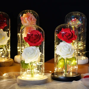 Вечная двойная Роза в стеклянном куполе светодиодный кой Красавица и Чудовище романтические подарки Домашний декор на День святого Валентина свадьбу вечеринку