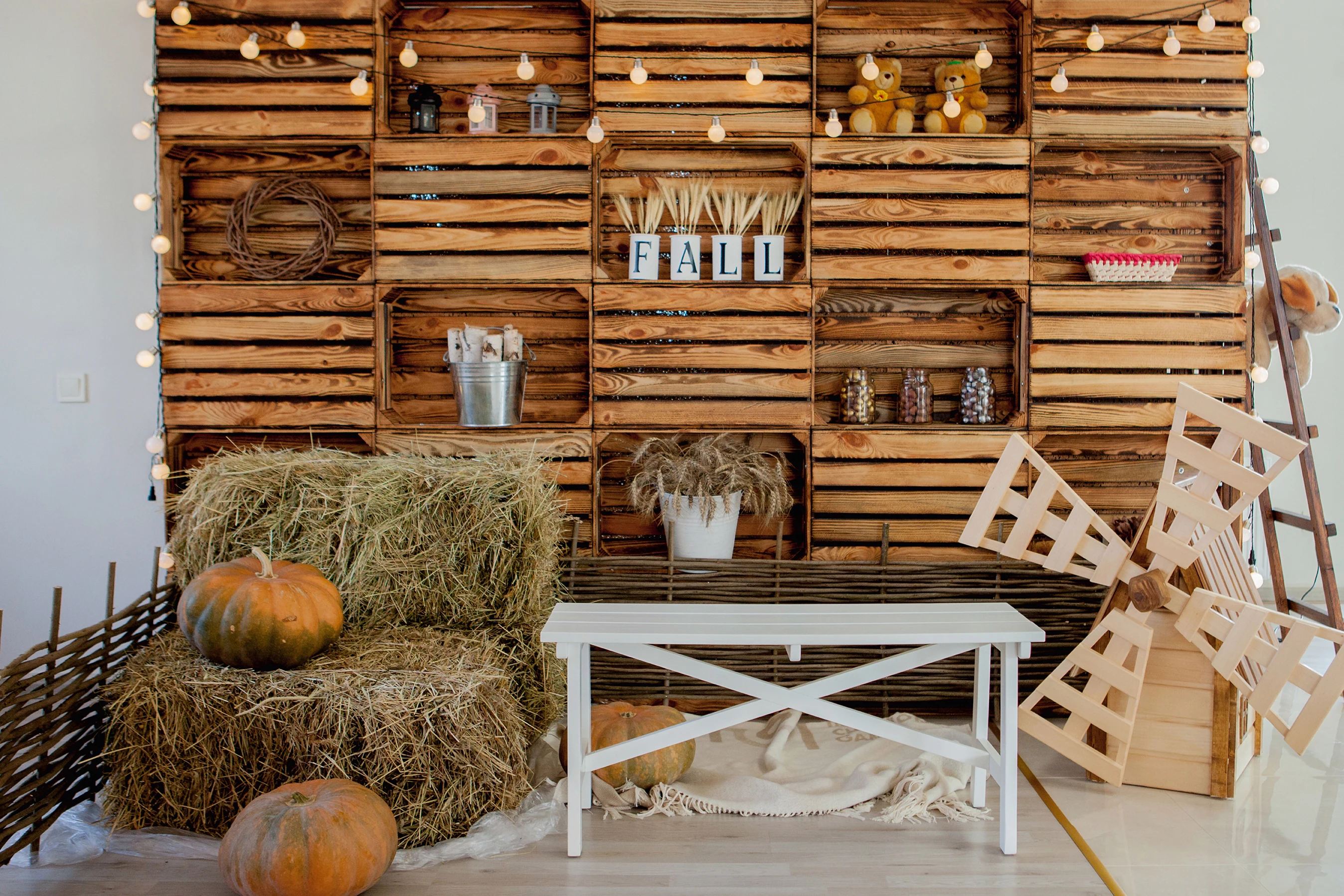 Каписко осень День благодарения фотография Фон Урожай Осень тыквы детский