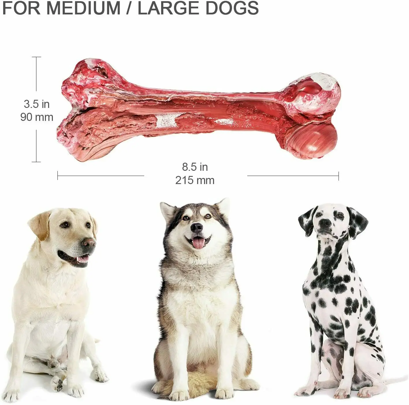 

Dog Bone Toy