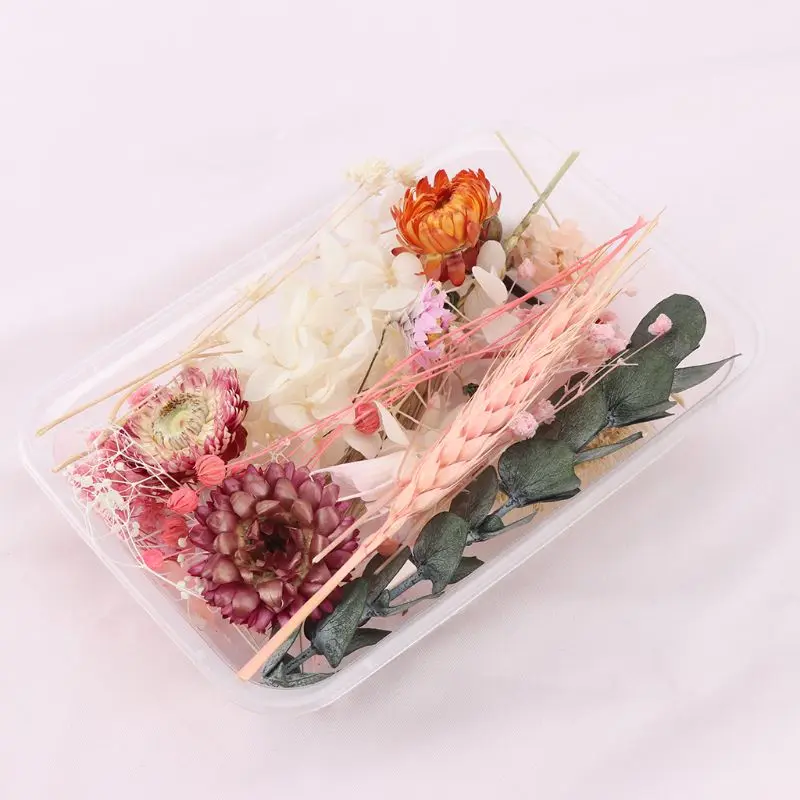 

1 Box Real Mix Dried Flowers for Resin Jewellery Dry Plants Pressed Flower Making Craft DIY Accessories Home Use