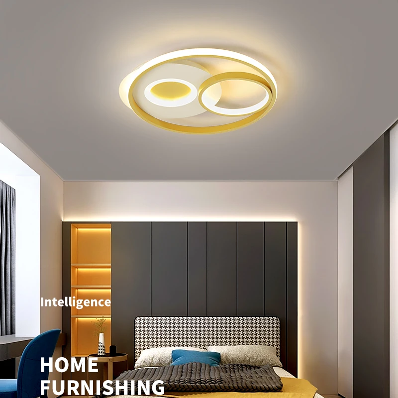 Modern LED Ceiling Lights Luxury Black/Gold Utra Thin lamp For Studyroom Bedroom Kitchen Living Room Kid's Room Lusure AC90-260V
