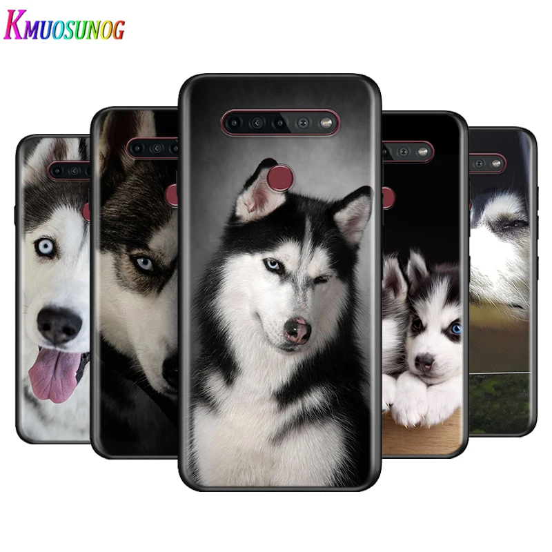 

Animal Cute Husky Dog For LG K22 K71 K61 K51S K41S K30 K20 2019 Q60 V60 V50S V50 V40 V35 V30 G8 G8S G8X ThinQ Phone Case