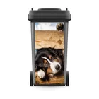 DIY мусорное ведро обновления Стикеры на платформе с анималистичным принтом настенные фотообои печать деколь, сад съемный корка и Кухня аксессуары