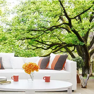 

Large natural 3d three-dimensional sofa tv background wallpaper mural