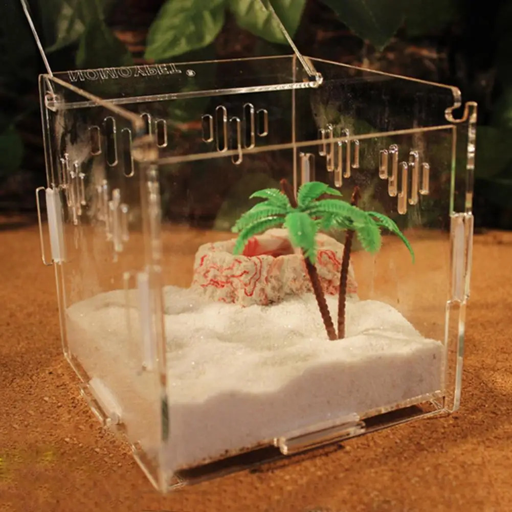 Прозрачная коробка насекомых для разведения рептилий акриловая подачи Человек