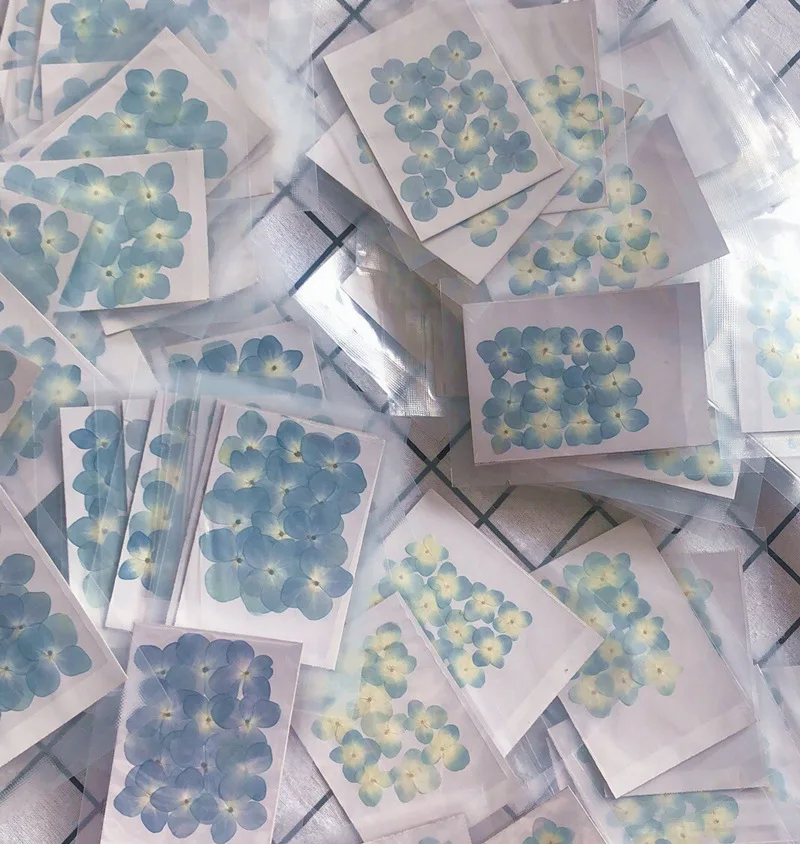 

60pcs Pressed Dried Natural Hydrangea Macrophylla Flower Plants Herbarium For Jewelry Phone Case Bookmark Phone Case DIY